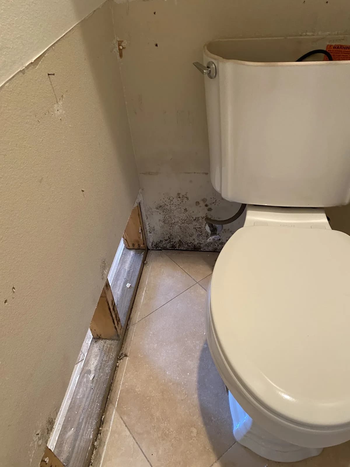 Intervention sur WC et reprise après dégât des eaux.