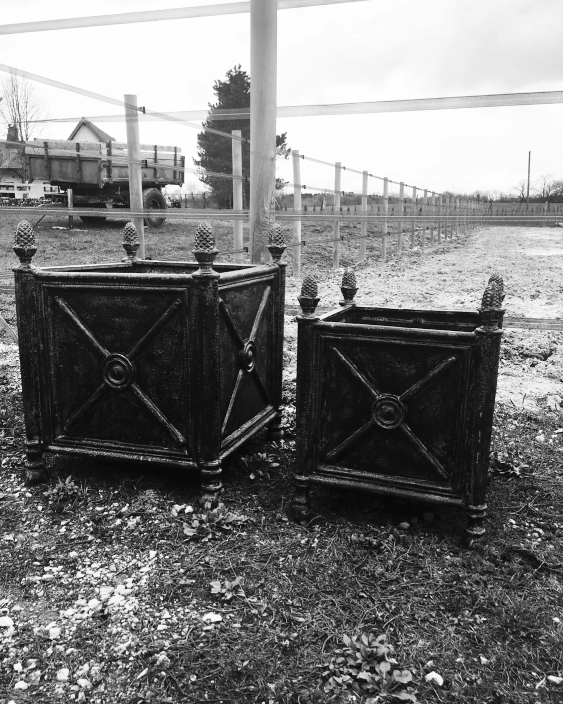 Bacs à oranger en fonte, façon caisses de Versailles.