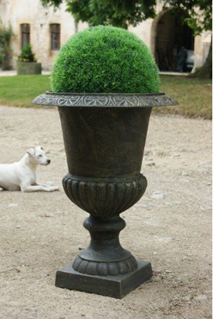 Vases Médicis