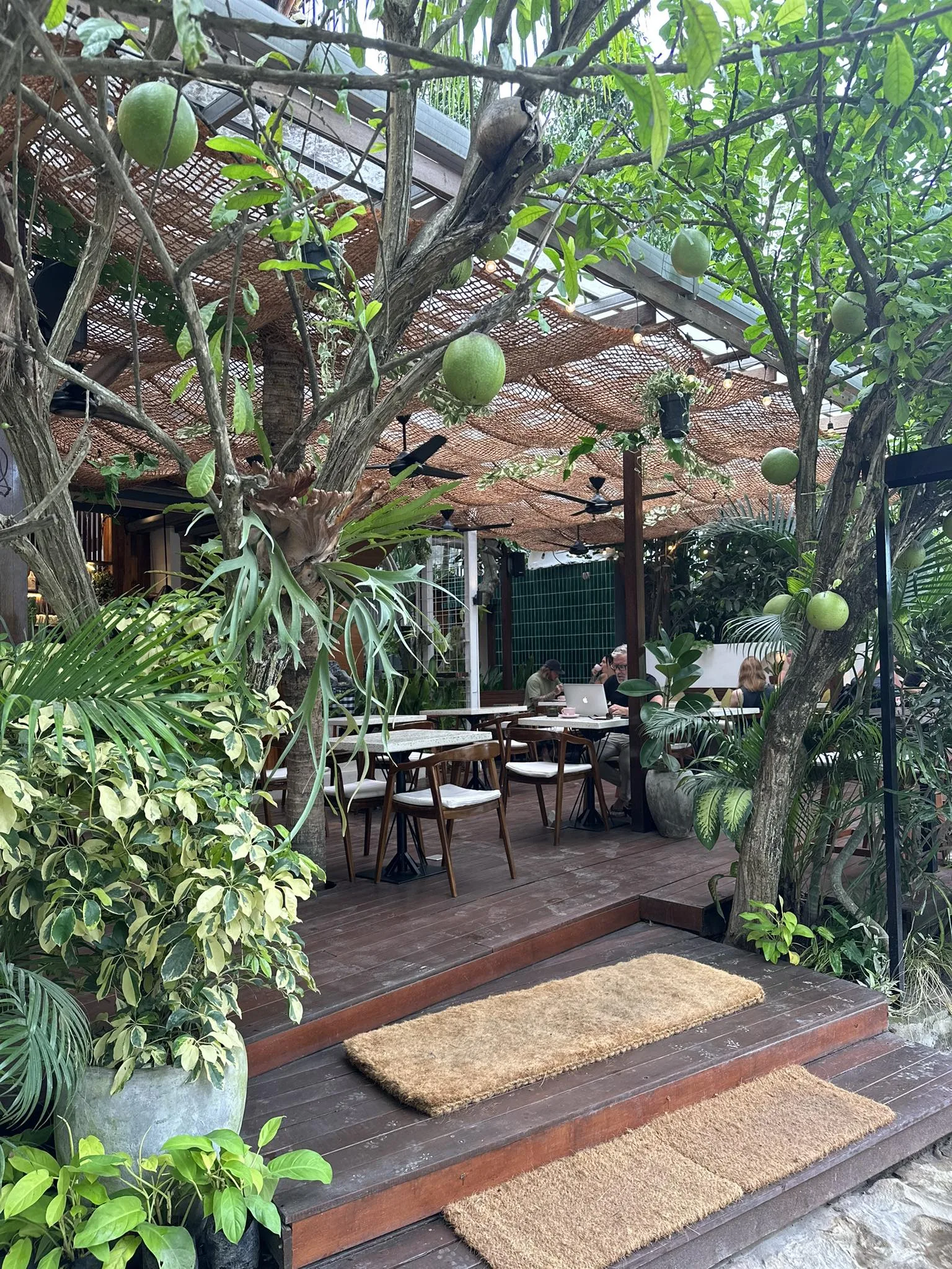 La terrasse-jardin, à l'ombre des manguiers.