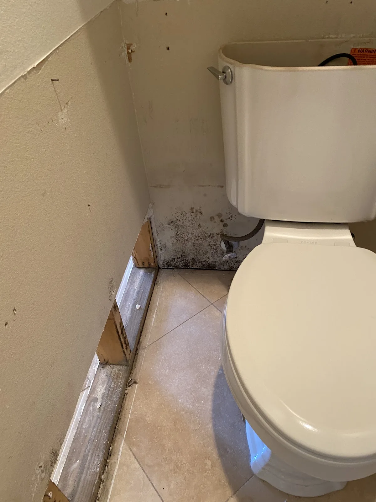 Intervention sur WC et reprise après dégât des eaux.